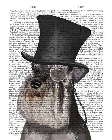 Schnauzer, Formal Hound and Hat