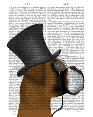 Boxer, Formal Hound and Hat