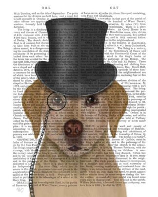Yellow Labrador, Formal Hound and Hat