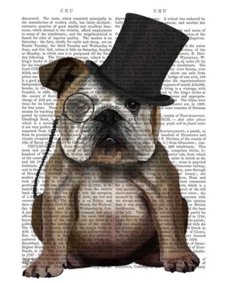 English Bulldog, Formal Hound and Hat