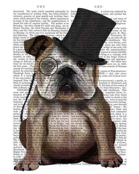 English Bulldog, Formal Hound and Hat