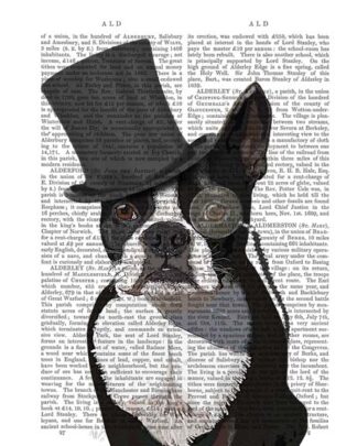 Boston Terrier, Formal Hound and Hat