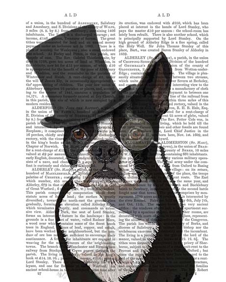 Boston Terrier, Formal Hound and Hat