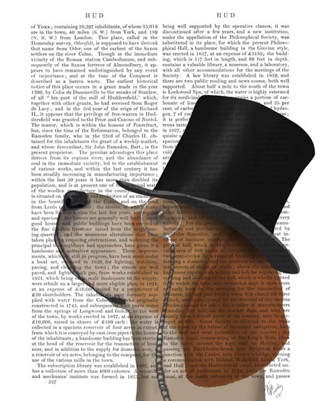 Beagle, Formal Hound and Hat