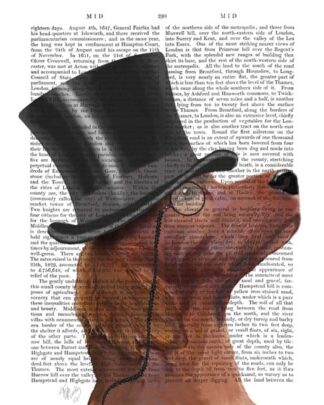 Red Setter, Formal Hound and Hat