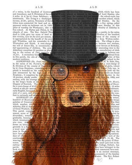 Cocker Spaniel, Formal Hound and Hat