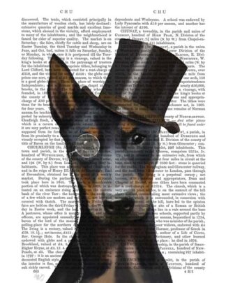 Doberman, Formal Hound and Hat