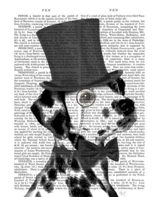 Dalmatian, Formal Hound and Hat