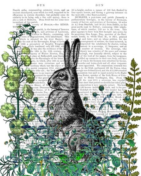 Rabbit in The Garden
