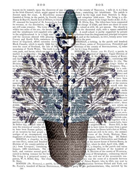 Garden Spade and Berries