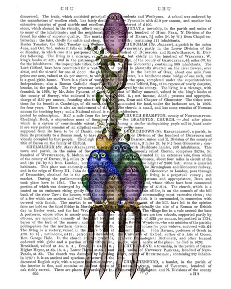 Garden Fork and Owls