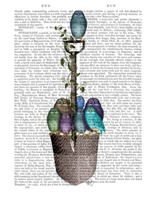 Garden Spade and Owls