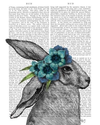 Rabbit, Blue Flower Headdress
