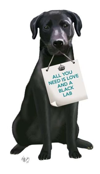 Love and Black Labrador
