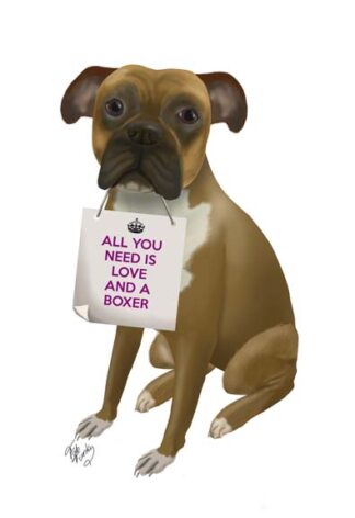 Love and Boxer