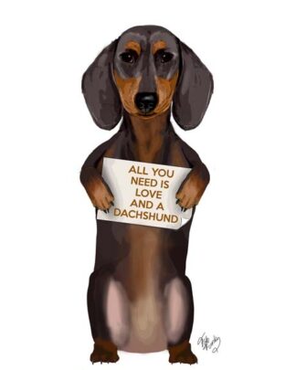 Love and Dachshund