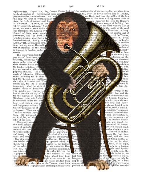 Chimp Playing Tuba