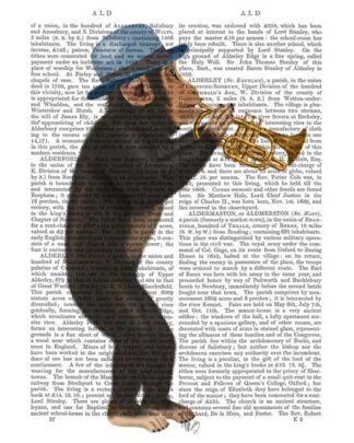 Monkey Playing Trumpet with Blue Hat