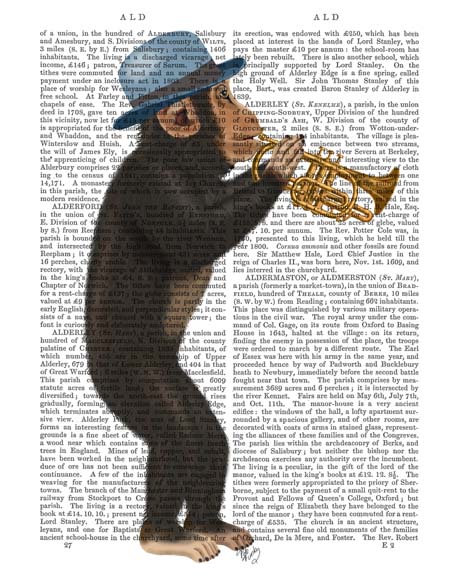 Monkey Playing Trumpet with Blue Hat