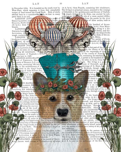 Corgi Milliners Dog