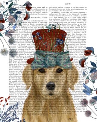 Golden Retriever Milliners Dog