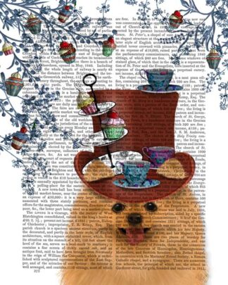 Pomeranian Milliners Dog