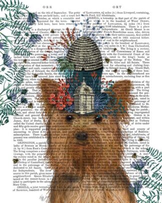 Yorkshire Terrier Milliners Dog
