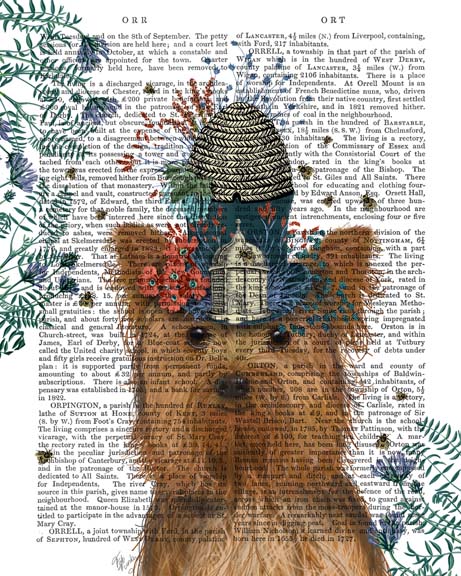 Yorkshire Terrier Milliners Dog