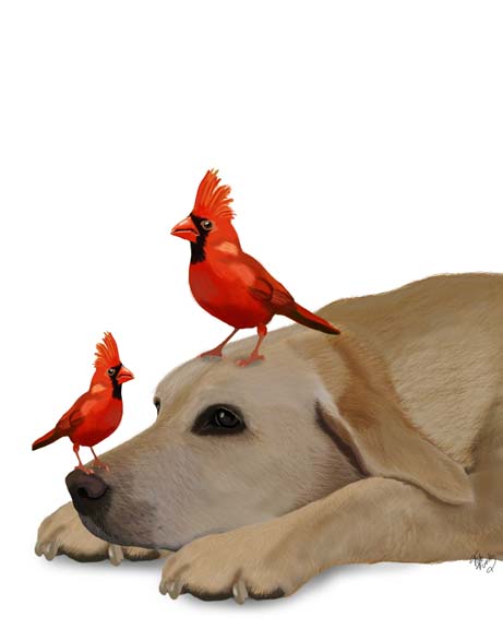 Labrador with Red Birds