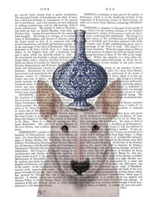 English Bull Terrier with Blue Vase