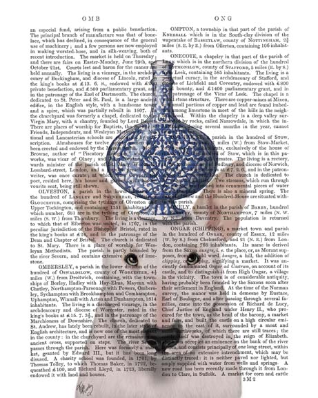 English Bull Terrier with Blue Vase