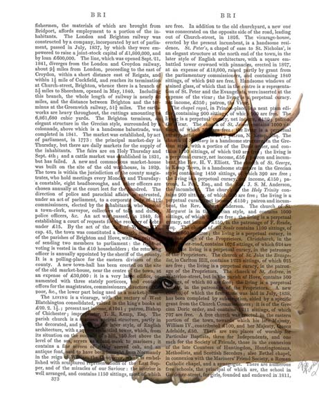 Labrador with Antlers