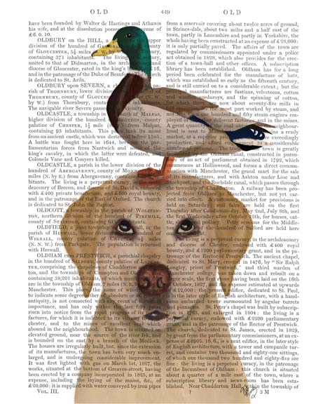 Labrador and Duck