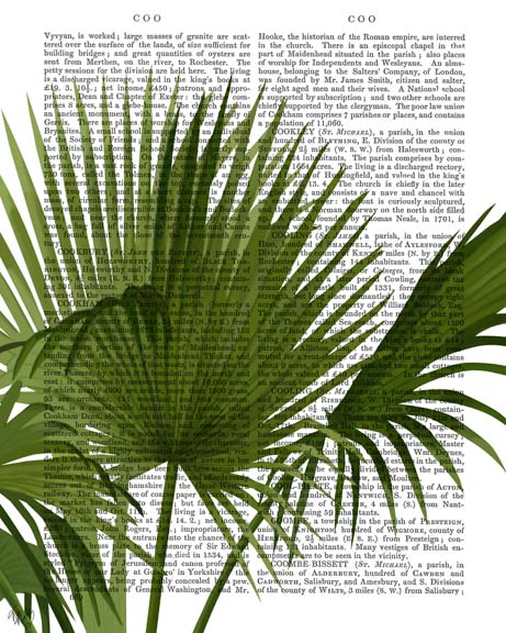 Fan Palm 1, Green on White