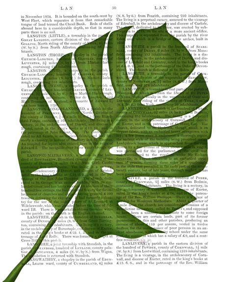 Monstera Leaf 1, Green on White
