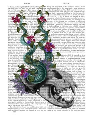 Skull with Blue Horns