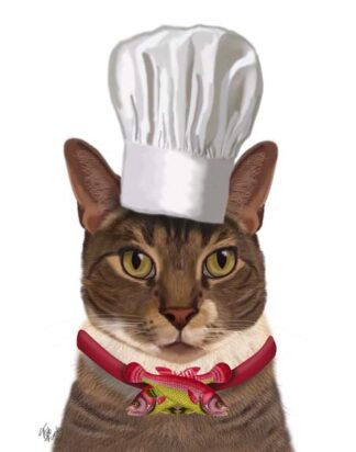 Cat Chef