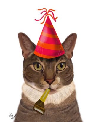 Tortoiseshell Cat, Party Hat