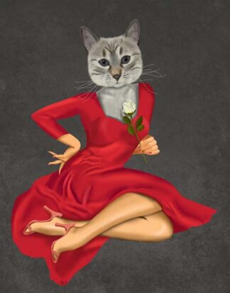 Grey Cat with White Rose