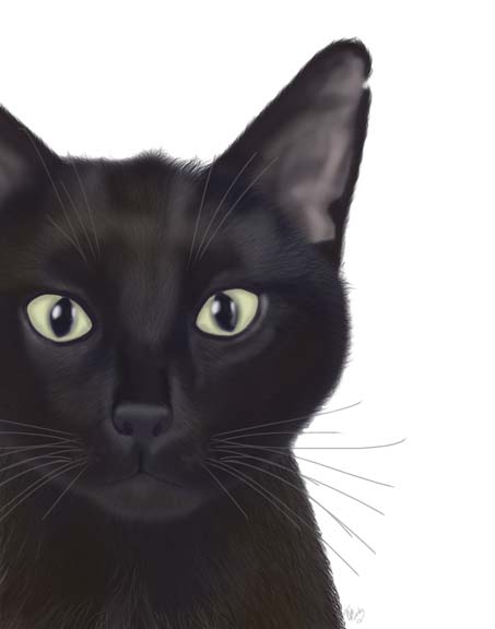 Cat, Portrait of Gus