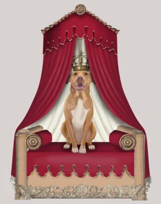 Pit Pull On Red Throne