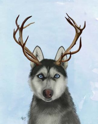 Husky and Antlers