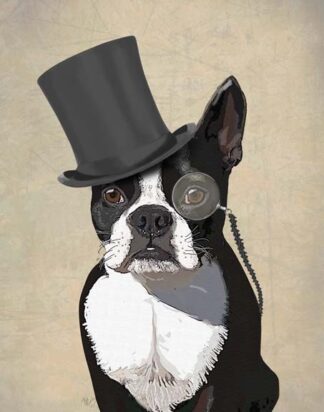 Boston Terrier, Formal Hound and Hat