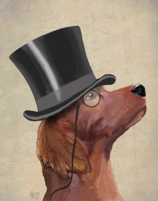 Red Setter, Formal Hound and Hat