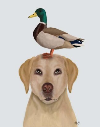 Labrador and Duck