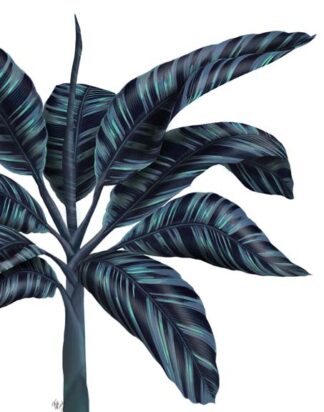 Banana Tree 3, Blue