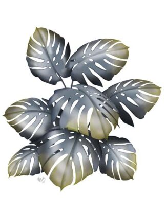 Monstera Plant, Grey and Gold