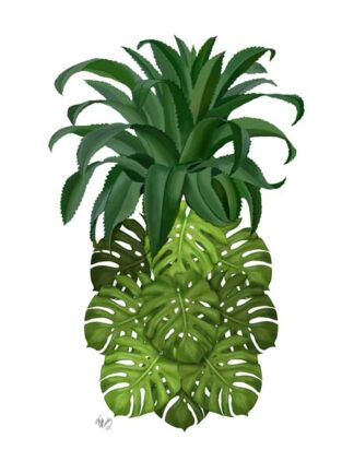 Pineapple, Monstera Leaf