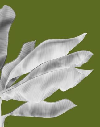 Banana Leaves 1, White On Green