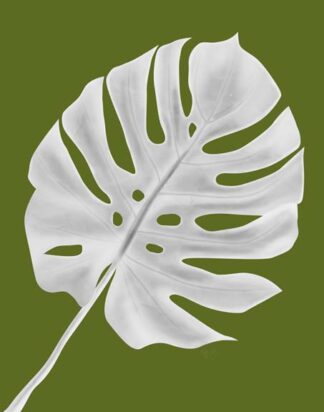 Monstera Leaf 1, White On Green